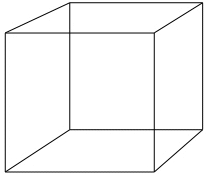 ambiguous cube